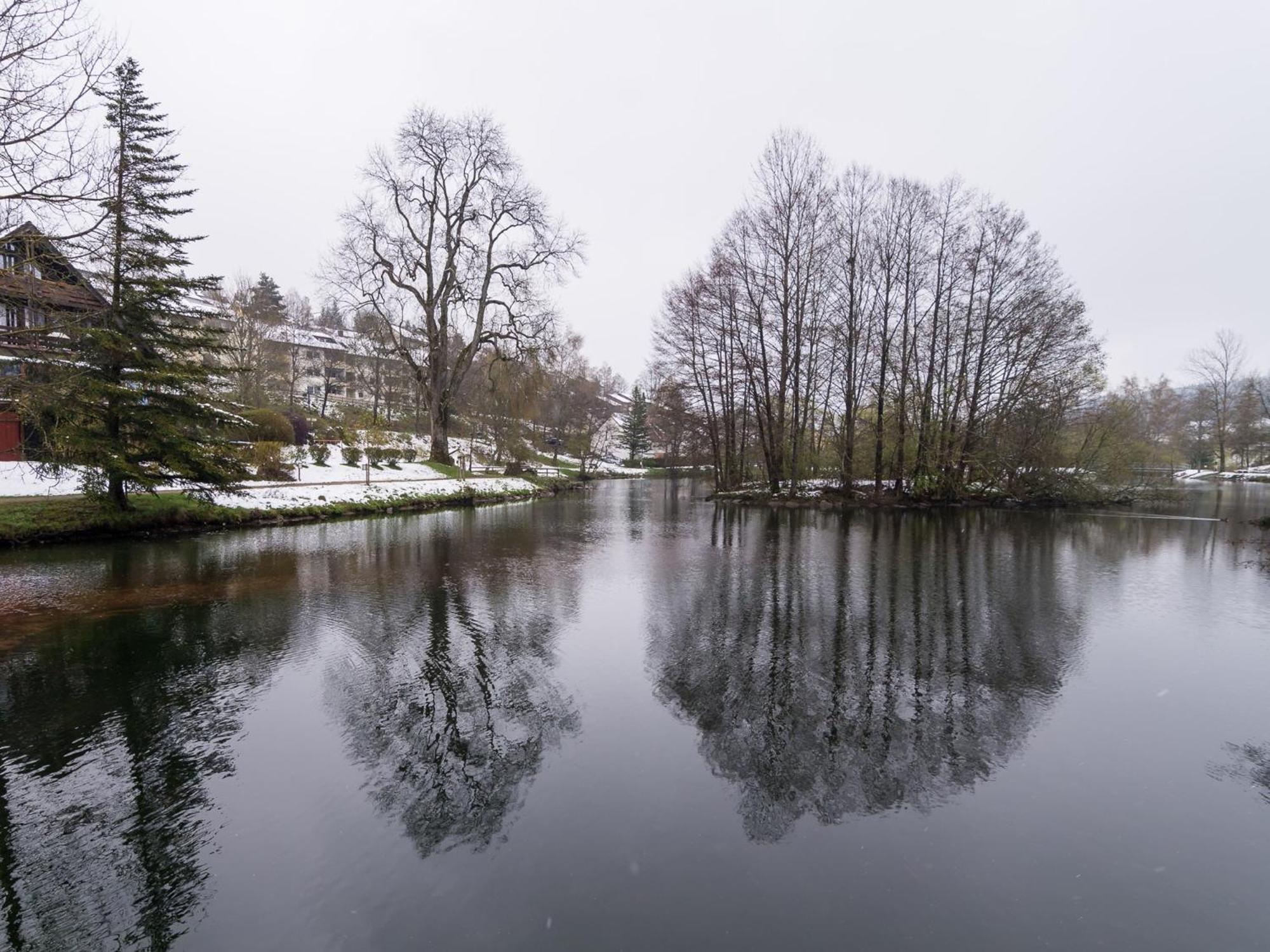 Ferienwohnungen Seeblick Unterkirnach Buitenkant foto