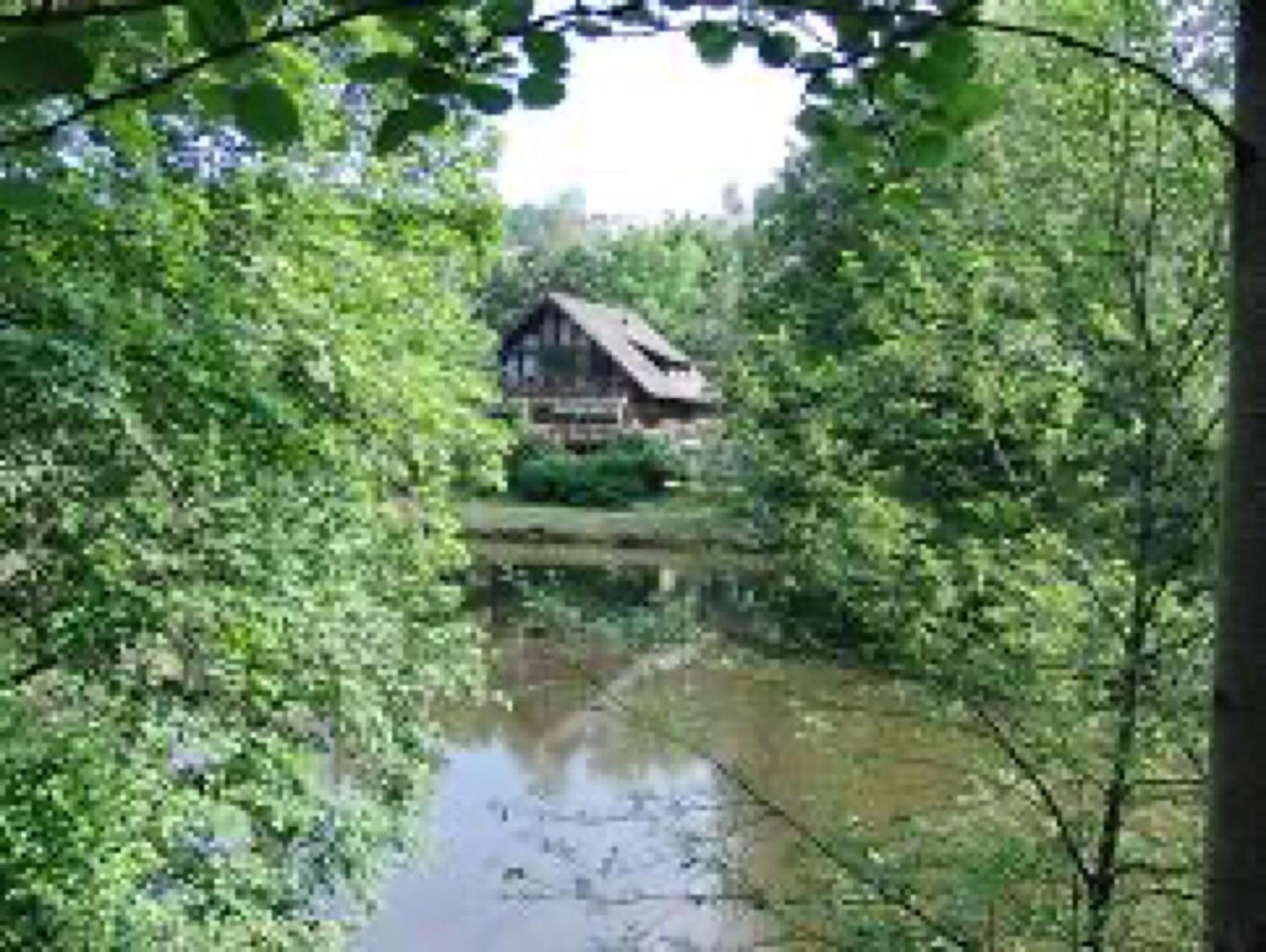 Ferienwohnungen Seeblick Unterkirnach Buitenkant foto
